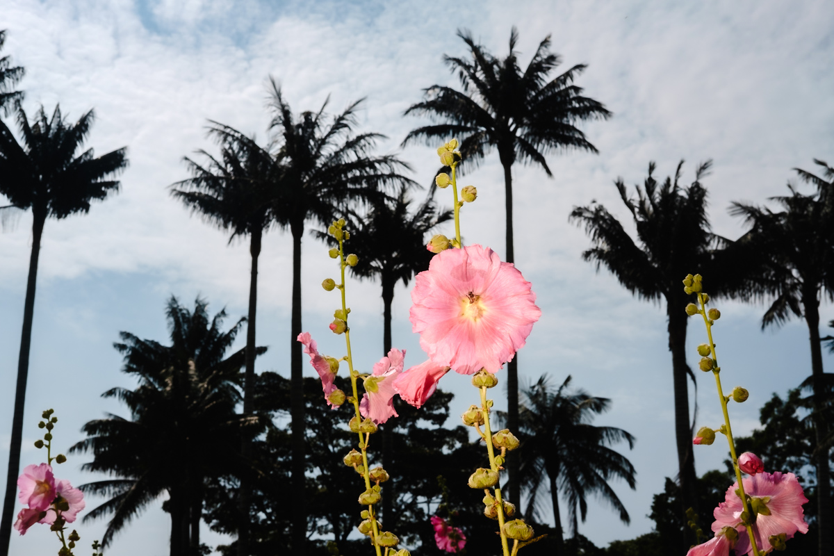 COLOMBIAN CREATIVE BASED IN BERLIN, WORKING FOR EDITORIAL AND COMMERCIAL  CLIENTS IN THE FIELDS OF VISUAL COMMUNICATION, RESEARCH & DEVELOPMENT.  FOR MANY YEARS HELPING BRANDS, PUBLISHERS AND CROSS - FUNCTIONAL TEAMS, CREATE  CAMPAIGNS AND STORIES. @Eric Cortes